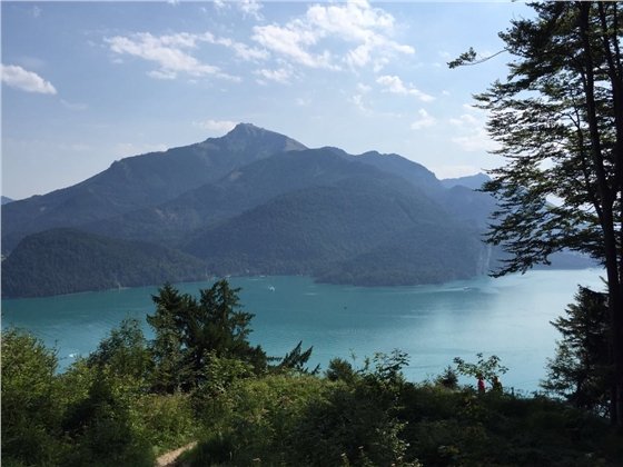 余教授奧地利鄉村行：萬(wàn)科為什么說(shuō)把奧地利小鎮搬回來(lái)？