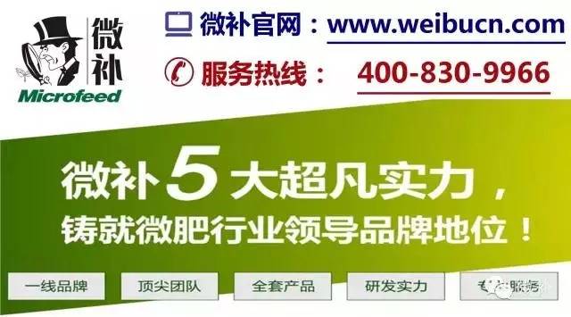 余教授奧地利鄉村行：萬(wàn)科為什么說(shuō)把奧地利小鎮搬回來(lái)？