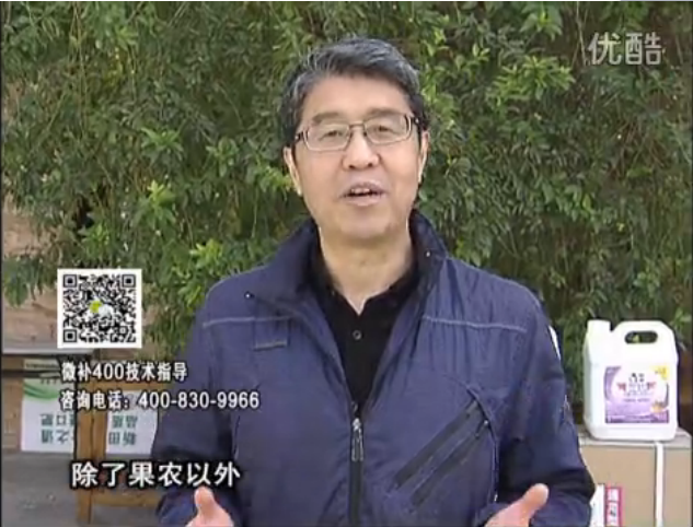 20160321珠江臺搖錢(qián)樹(shù)：柑橘用微補方案，百萬(wàn)收入不是夢(mèng)