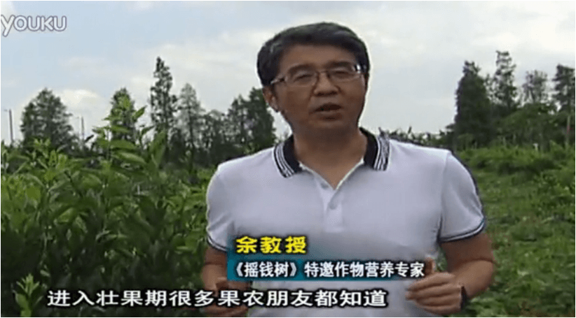 20160620珠江臺搖錢(qián)樹(shù)：柑橘淋微補調力、噴蓋力+壯力，調酸壯長(cháng)勢、膨果防裂好