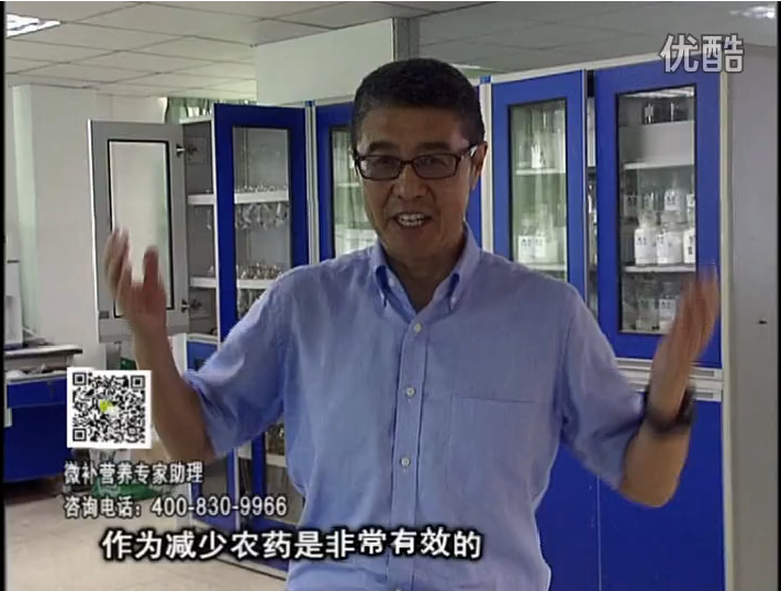 20161024珠江臺搖錢(qián)樹(shù)：種植作物調酸、平衡營(yíng)養、提高抗病力能大大降低病害發(fā)生和農藥使用量
