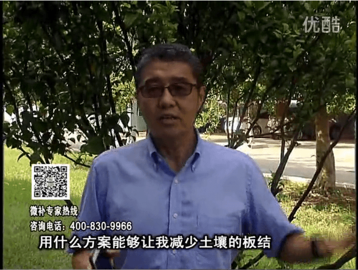 20161031珠江臺搖錢(qián)樹(shù)：減少化肥使用量、土壤少板結有辦法