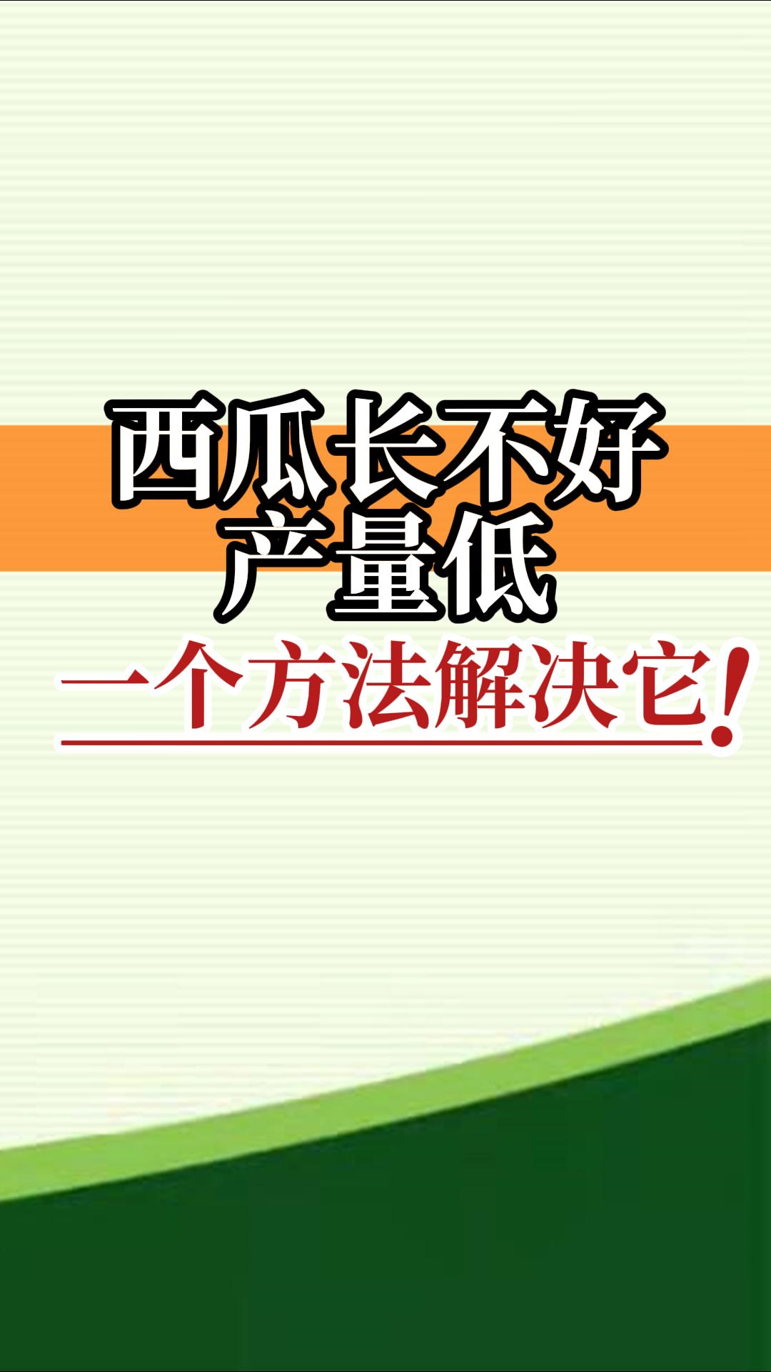 西瓜長不好產(chǎn)量低？