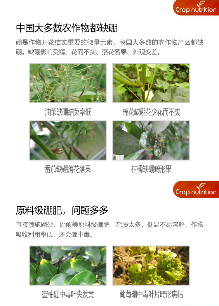 因迪樂(lè)硼