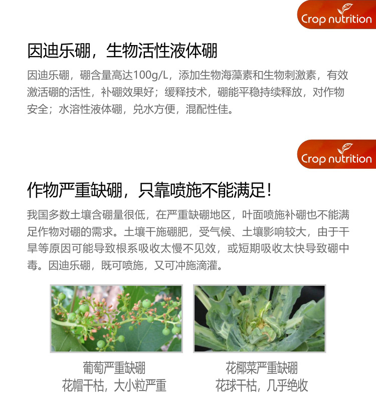 因迪樂(lè)硼