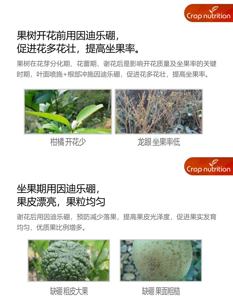 因迪樂(lè)硼