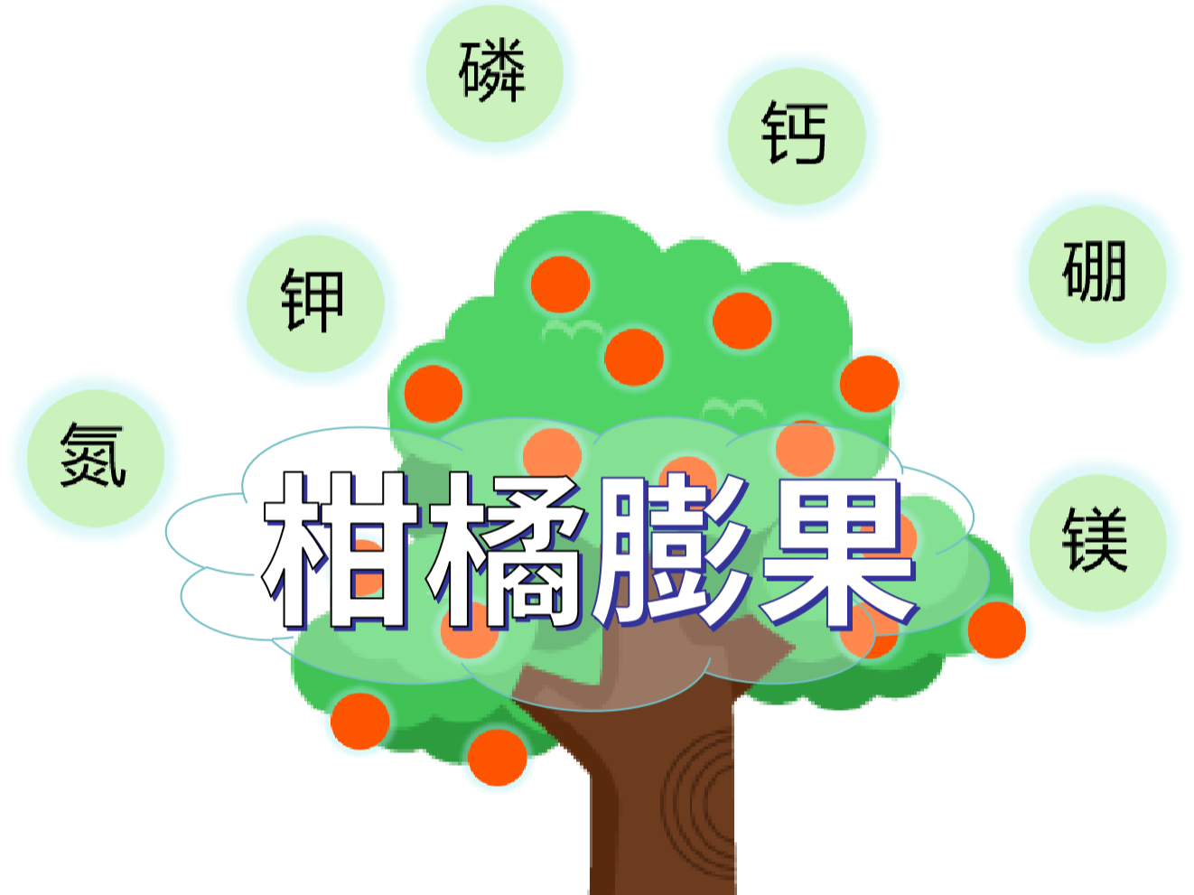 柑橘膨果慢？找準原因，“對癥下藥”