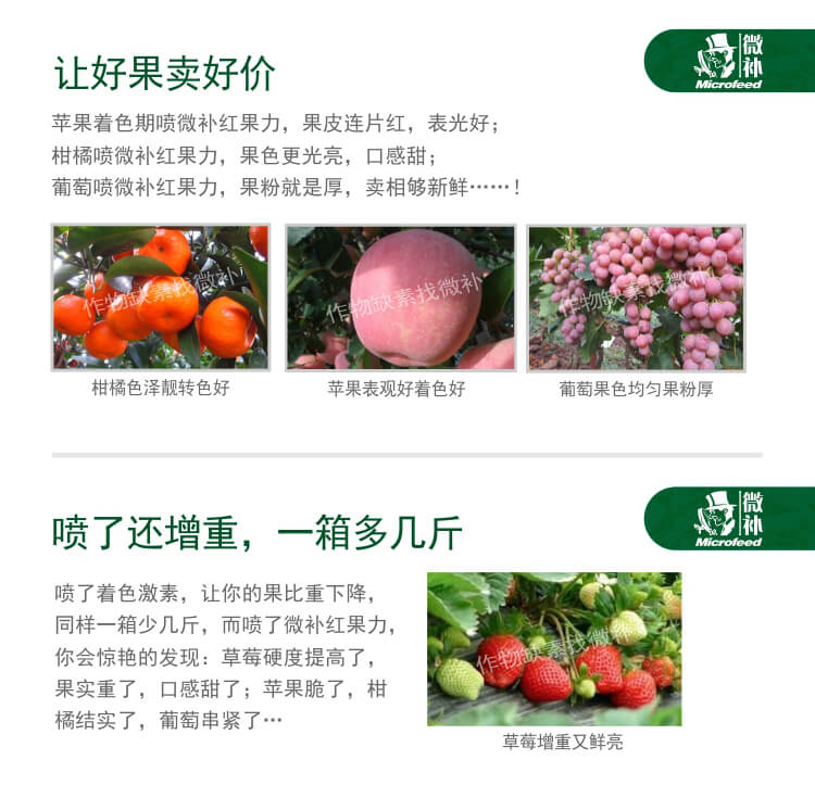 微補紅果力