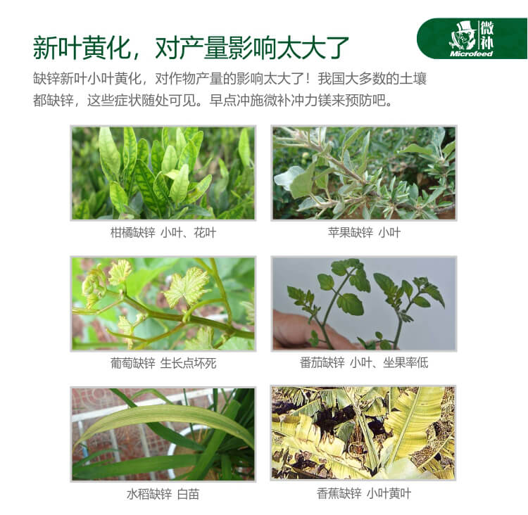 微補沖力鎂