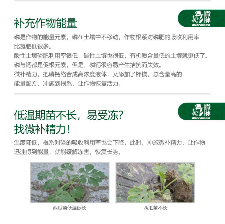 微補精力