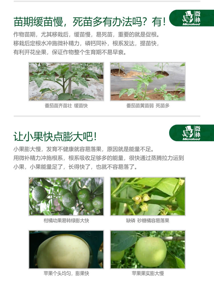 微補精力