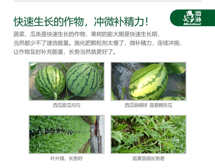 微補精力