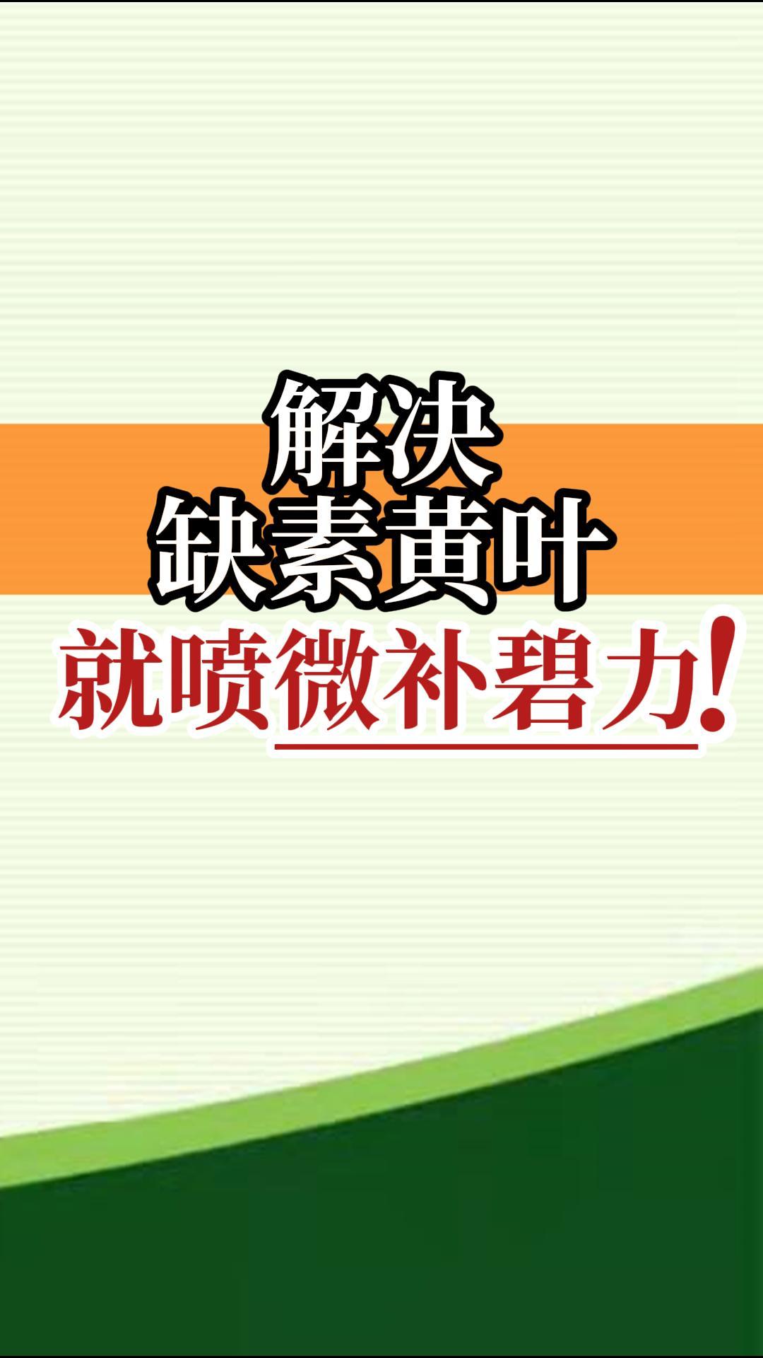 解決缺素黃葉就噴微補(bǔ)碧力！