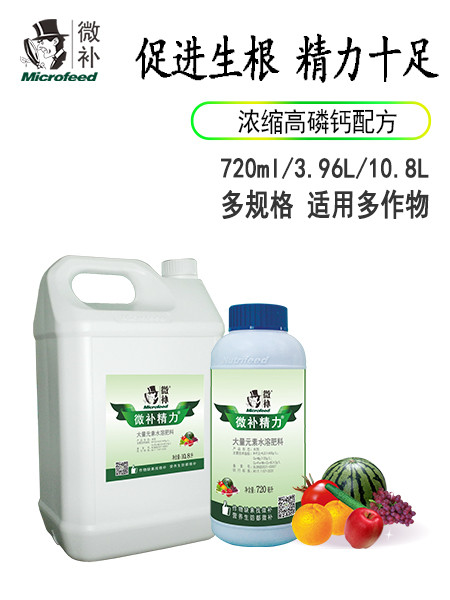 微補精力
