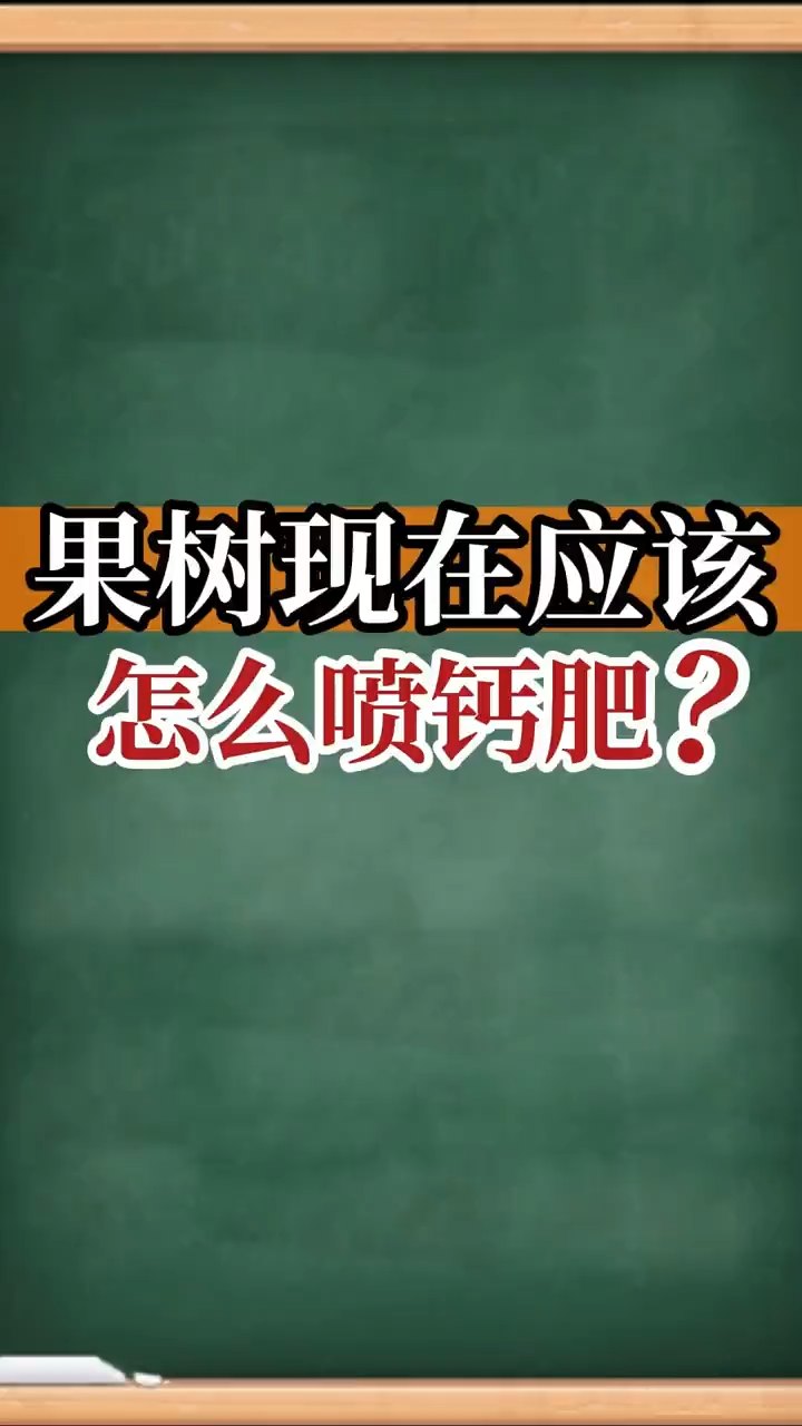 果樹(shù)現在應該怎么噴鈣肥？
